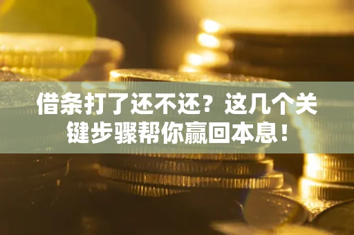 济南借条打了还不还？这几个关键步骤帮你赢回本息！