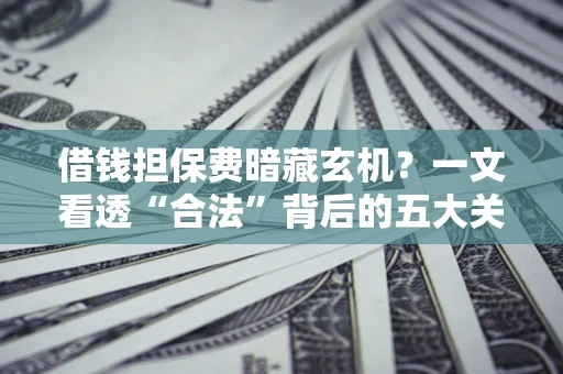 济南借钱担保费暗藏玄机？一文看透“合法”背后的五大关键陷阱