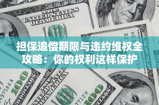 济南担保追偿期限与违约维权全攻略：你的权利这样保护